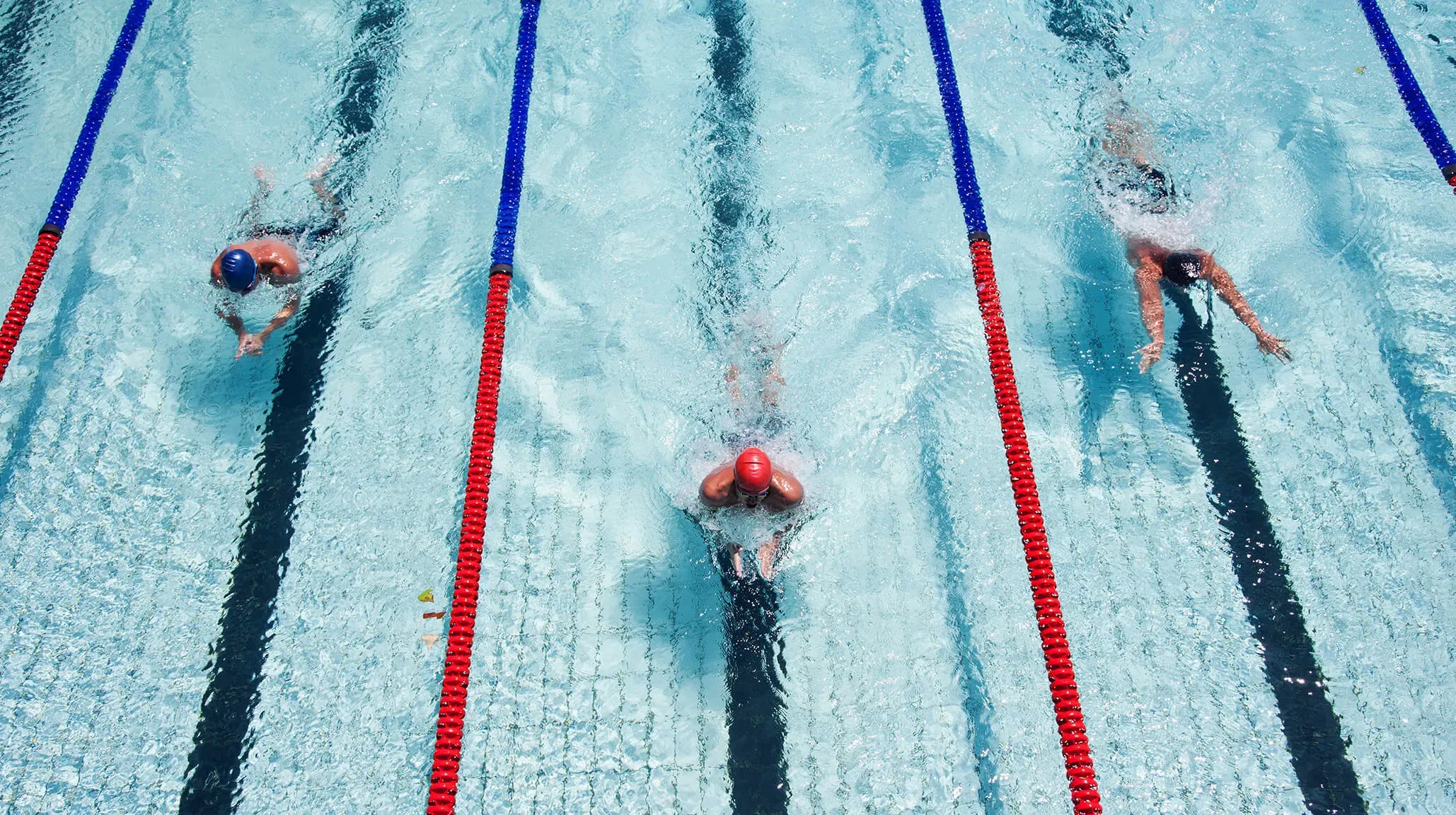 olympic swimming pool design